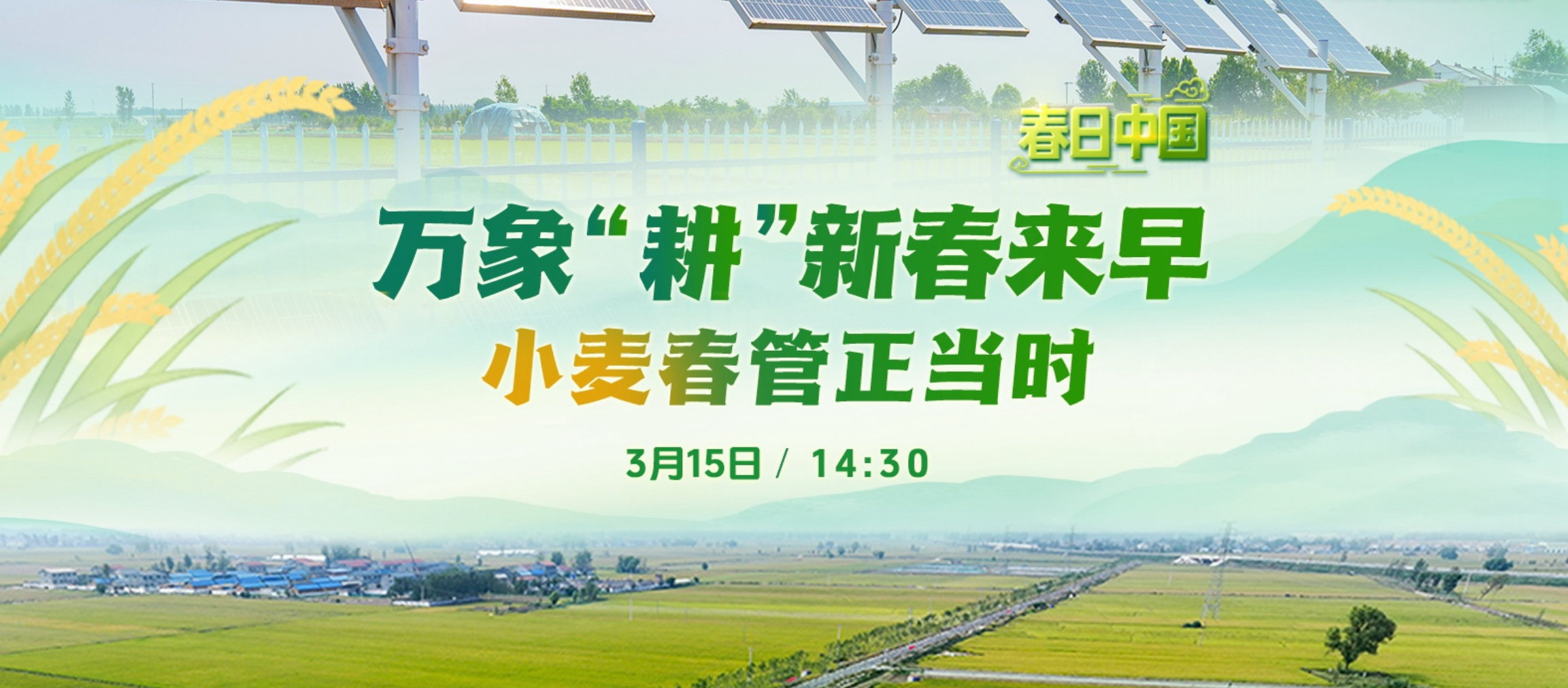 春日中國 | 萬象“耕”新春來早 小麥春管正當時